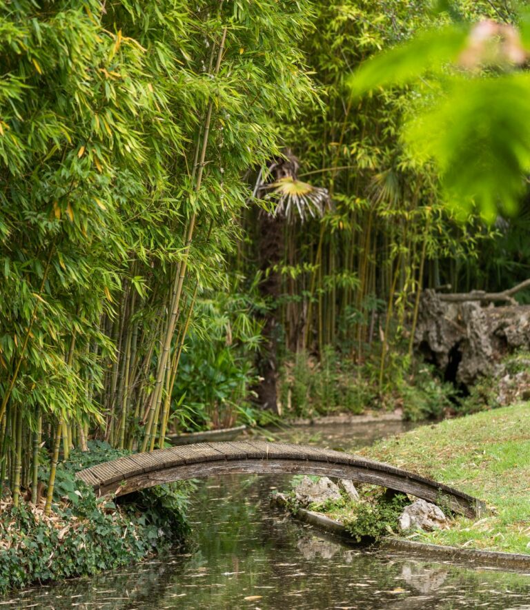 Domaine_Auriac slide 1@2x