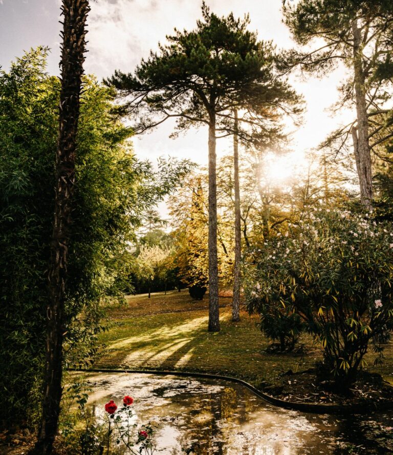 Domaine_Auriac slide 6@2x